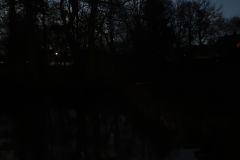 Mond im Teich