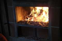 Feuer im Backofen