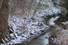 Teich und Bachlauf