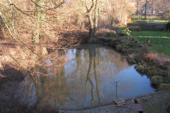 Der Teich im Herbst
