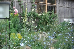 Blumen