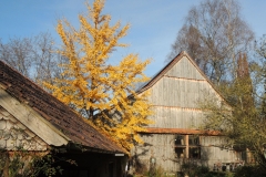 Scheune im Herbst