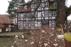 Blick auf Terrasse