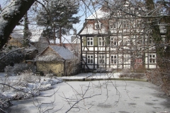 Teich im Winter